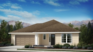 Beige Appaloosa Series 1 Plan exterior traditional style home.