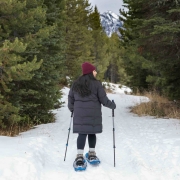 Snowshoeing